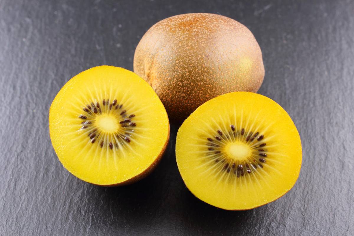 Kiwi giallo: ecco perchè mangiarlo al mattino. Ricco di vitamina C e contro la stitichezza