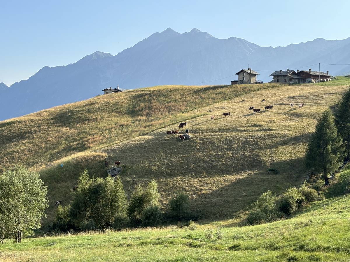 Tra le vette e i prati della Valle (d'Ayas) dove la fuga d'estate non è mordi e fuggi