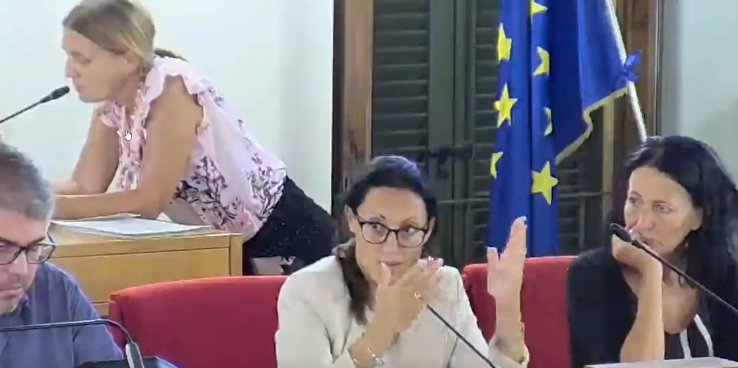 L'assessore Pisano (al centro) durante l'intervento in consiglio che sta facendo discutere