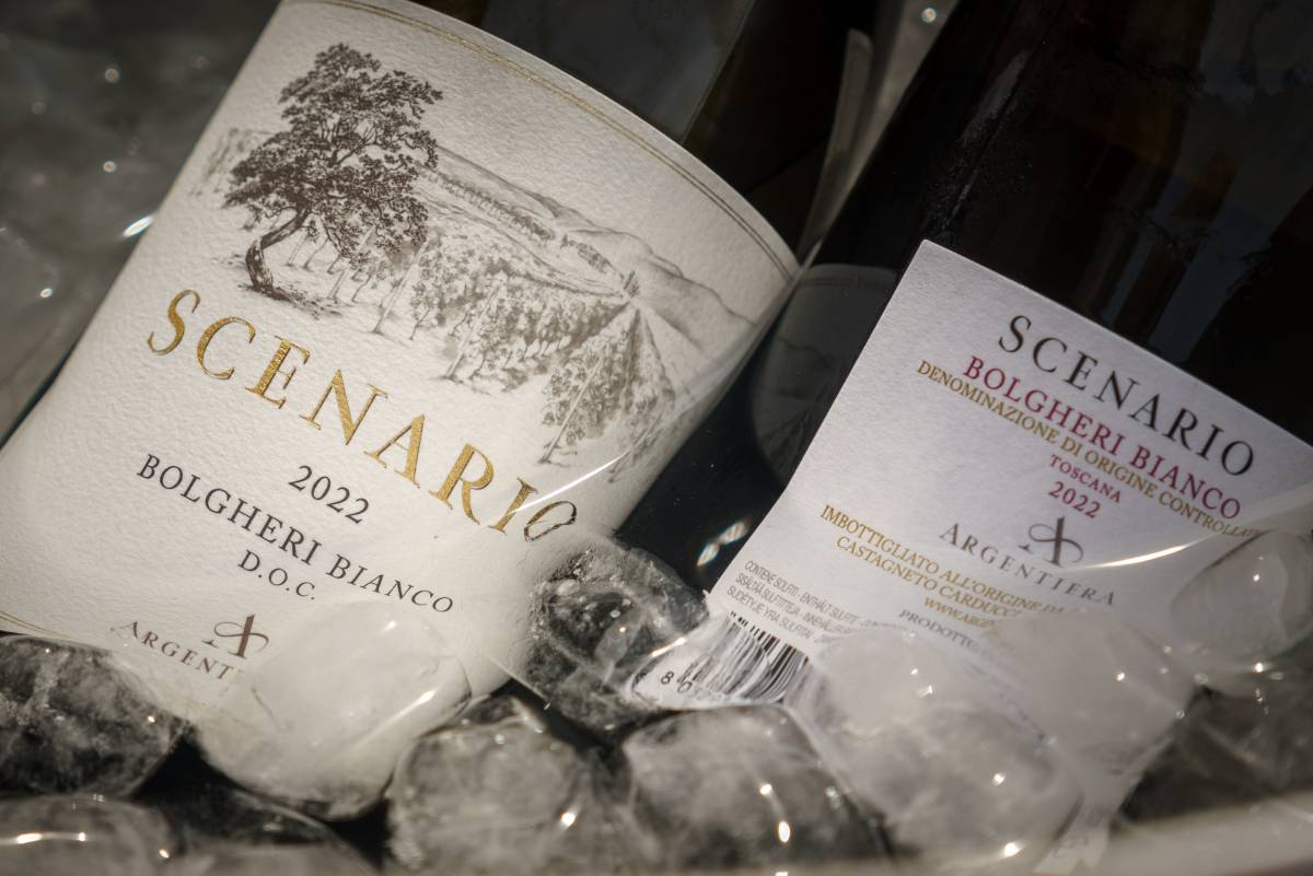 Scenario, l'evoluzione del Vermentino