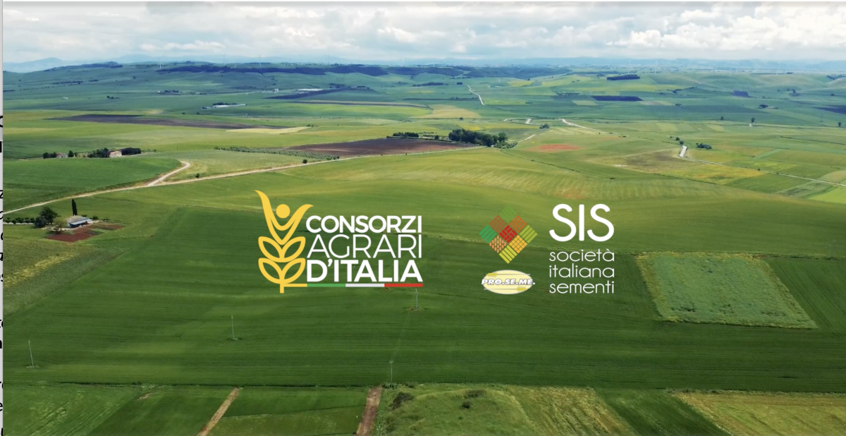 "Cereale Sicuro", il grande aiuto agli agricoltori di Consorzi Agrari d'Italia