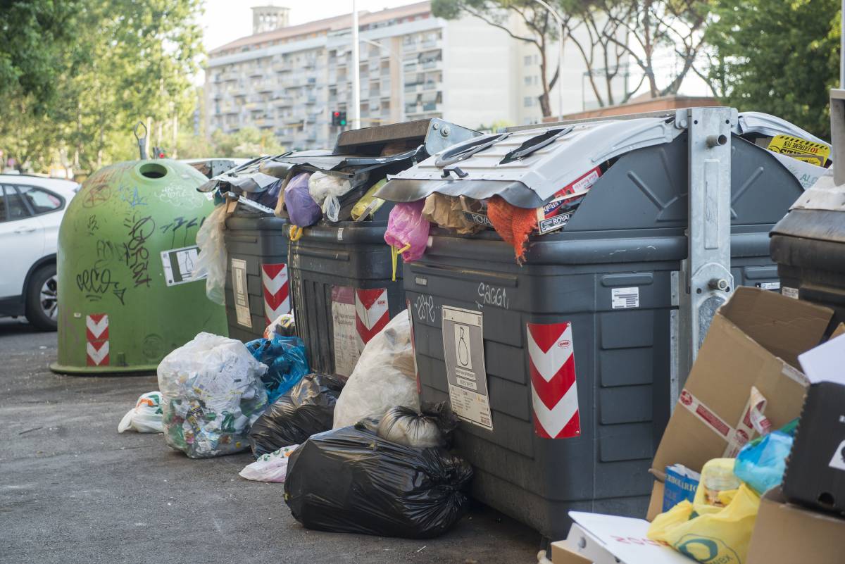 Gaia Tortora: "Roma? Resta uno schifo tra topi e rifiuti. E pure sulla sicurezza: ci vuole l'esercito"