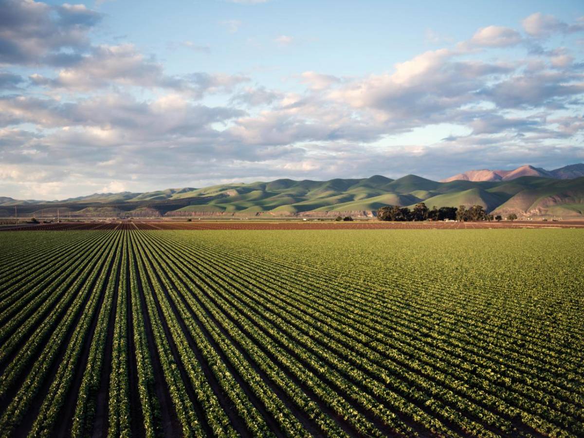 Agricoltura e biodiversità, un piccolo passo verso la neutralità carbonica