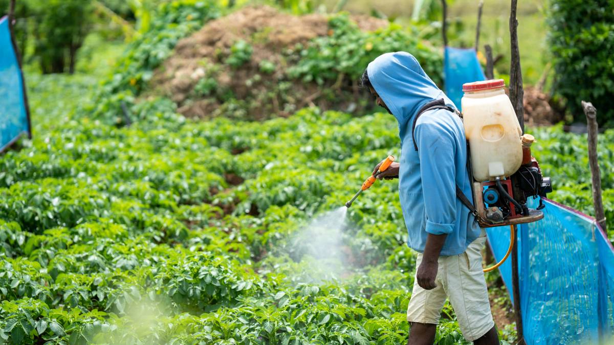 Tumore alla prostata, 22 pesticidi aumentano l'incidenza: quali sono i più letali