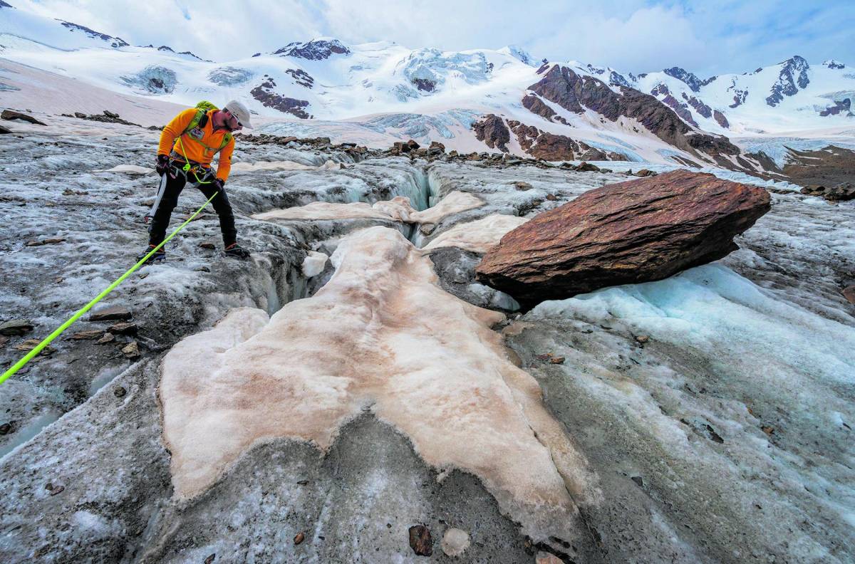 Il ghiacciaio si scioglie e riaffiorano fossili di 280 milioni di anni fa