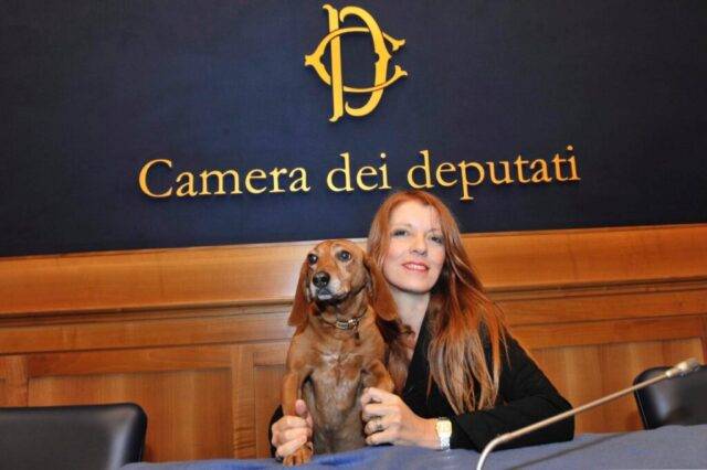 Ok della Camera alla pdl che inasprisce le pene per i reati contro gli animali