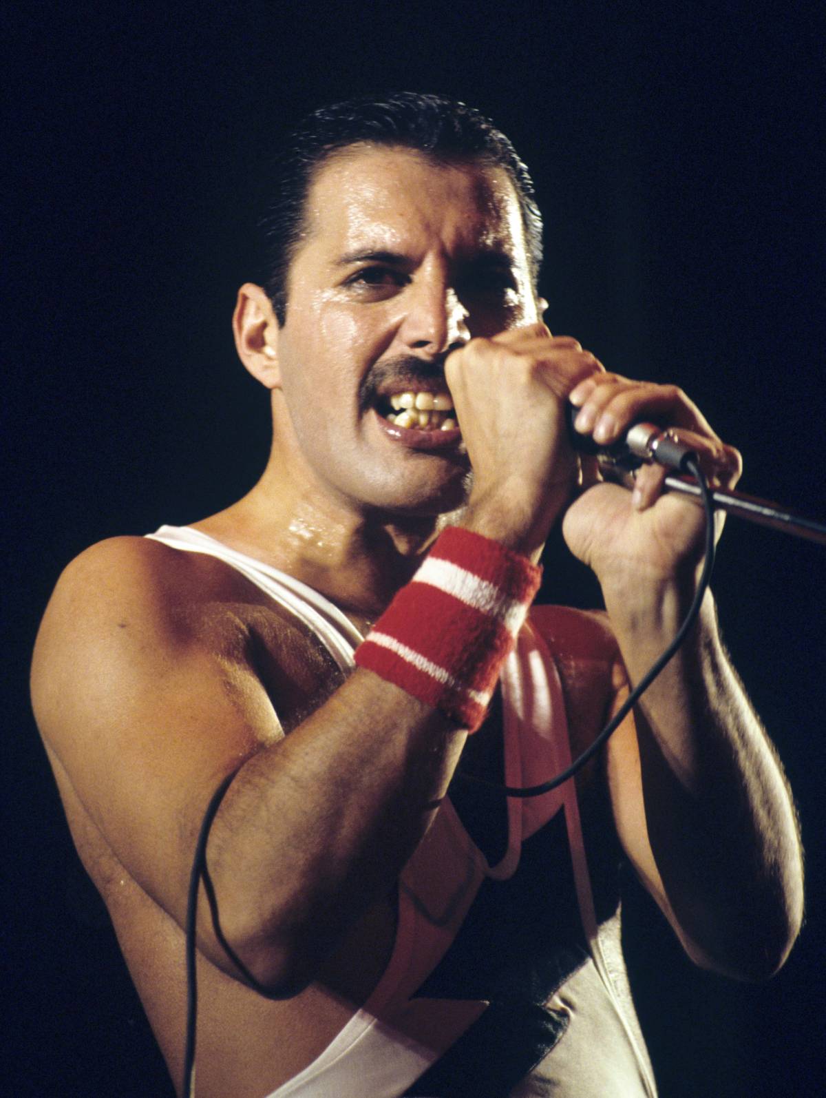 Bohemian Rhapsody, il pettine da baffi, l’Aids. Freddie Mercury e l'ultimo gesto di libertà di un'icona