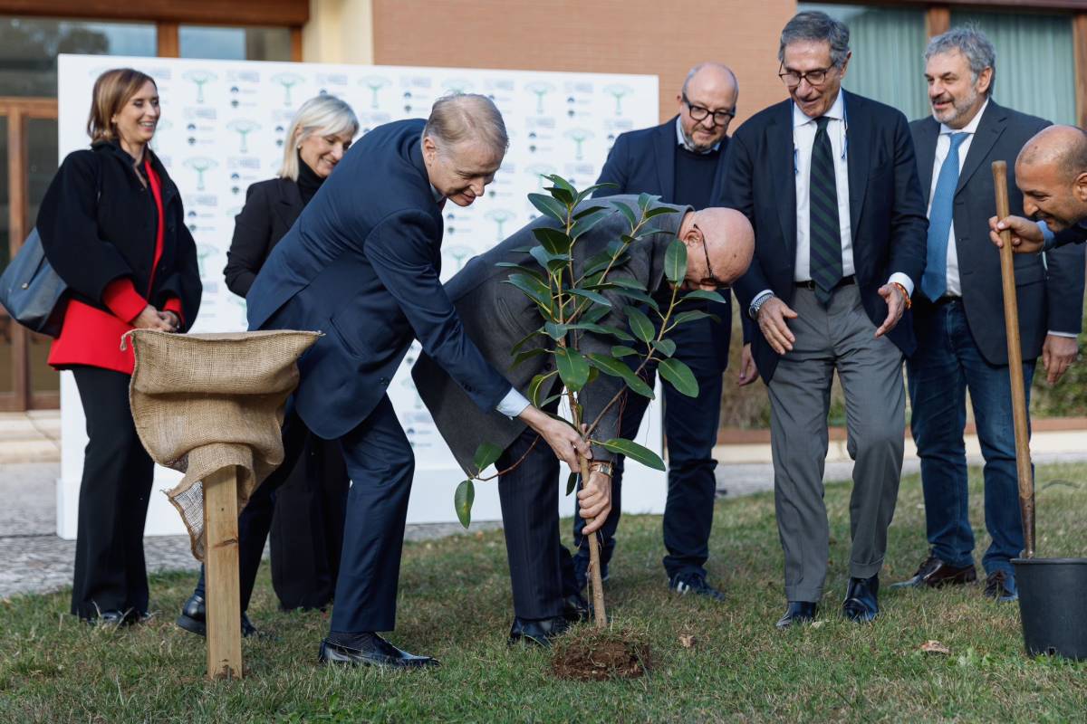 FdI pianta un albero in onore di Falcone agli Stati Generali dell'Ambiente e dell'Energia