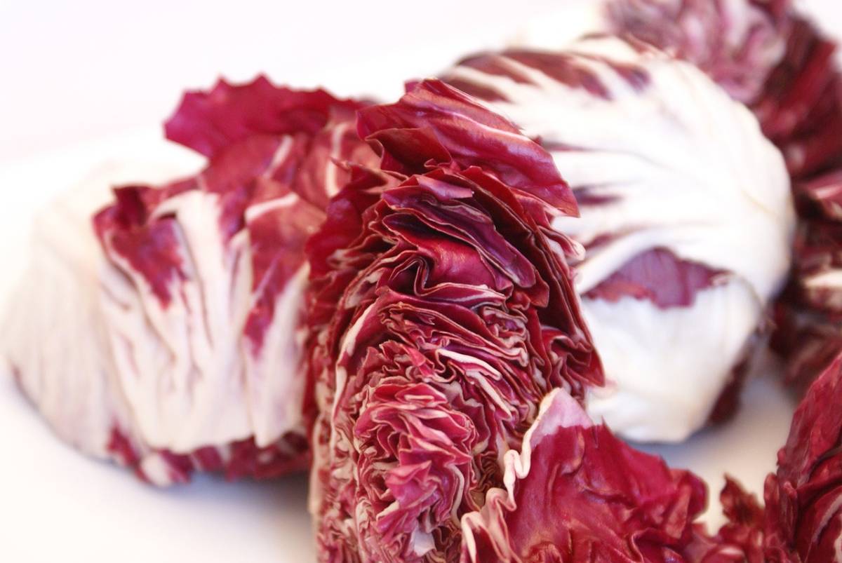 Ecco perché dovresti mangiare più radicchio rosso