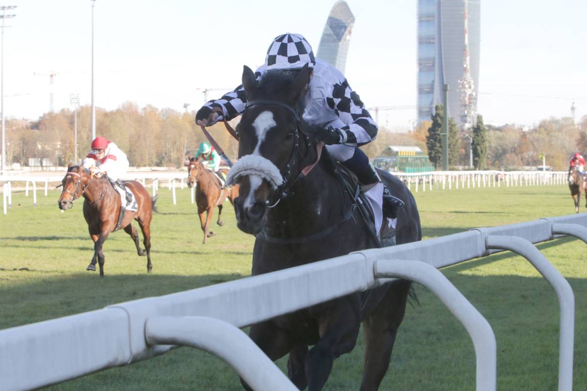 Francesco Escobar, vincitore di St Leger 2023 (f.te Ippodromo Snai San Siro milano)