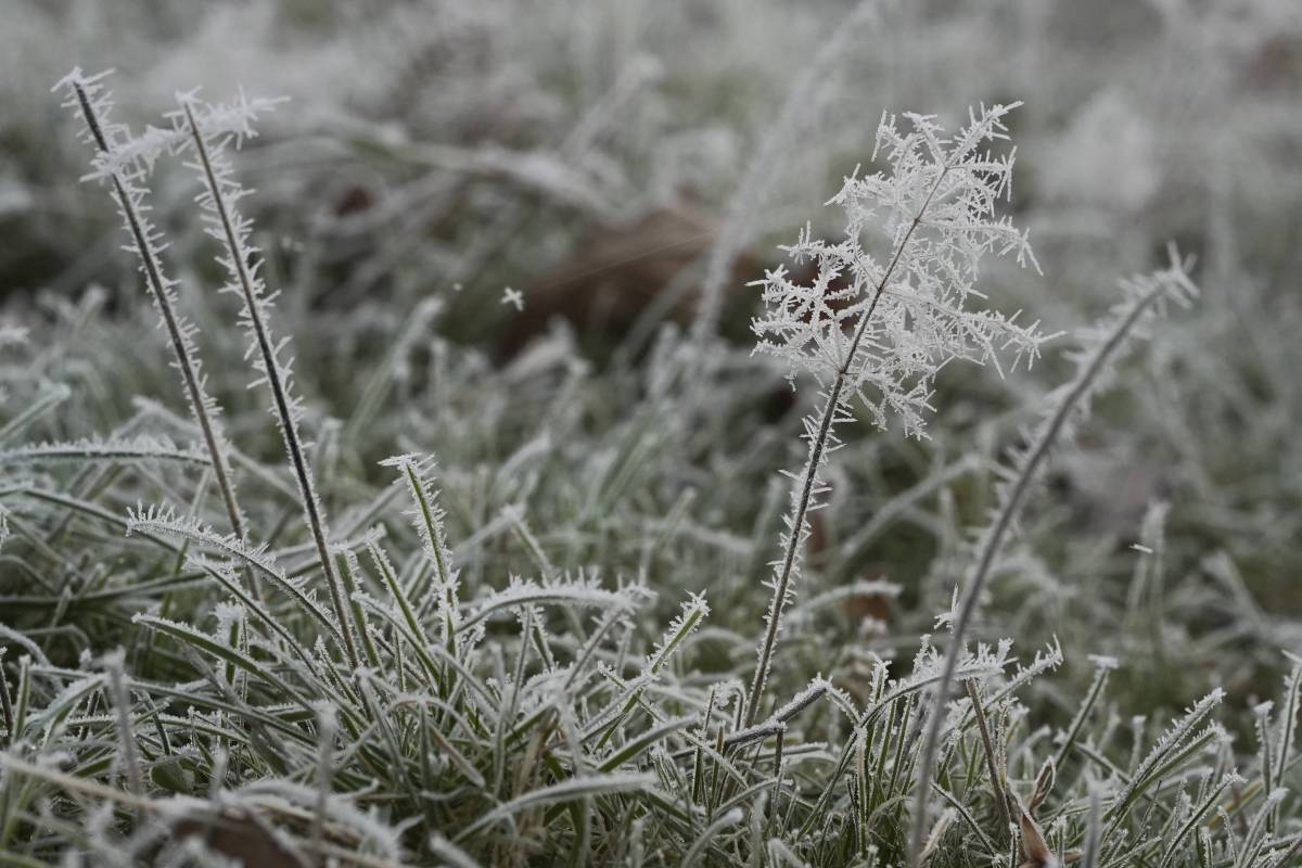 Crollo termico e neve: dove colpirà la "goccia fredda" 