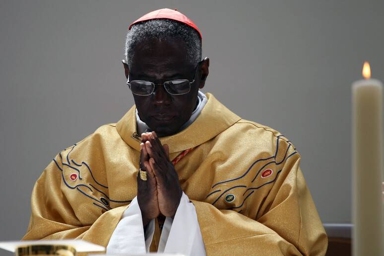 L’allarme del cardinal Sarah: “La dottrina non evolve, basta salti”