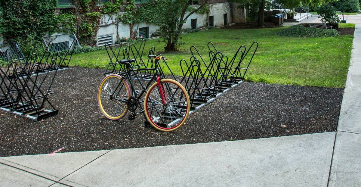 A scuola in bici solo il 7%. E c'è allarme sicurezza