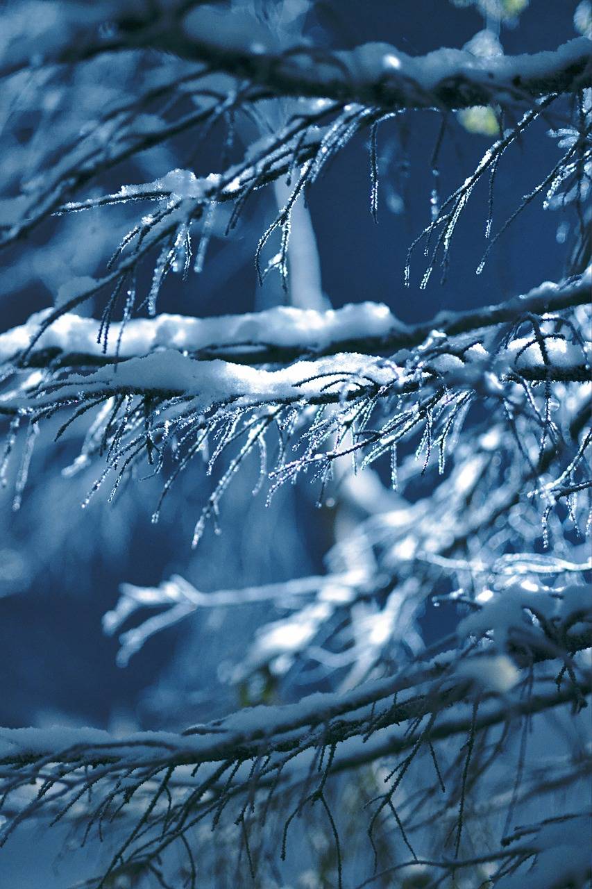 Solstizio d'inverno, ecco quando sarà la giornata più corta di tutto l'anno