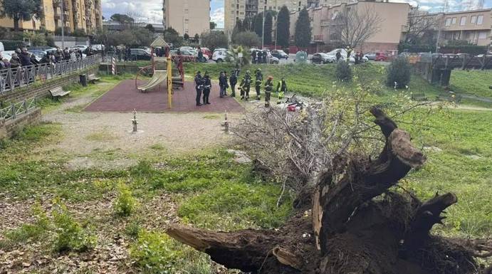 Foto dal gruppo Facebook "Colli Aniene il suo quartiere ma non solo"