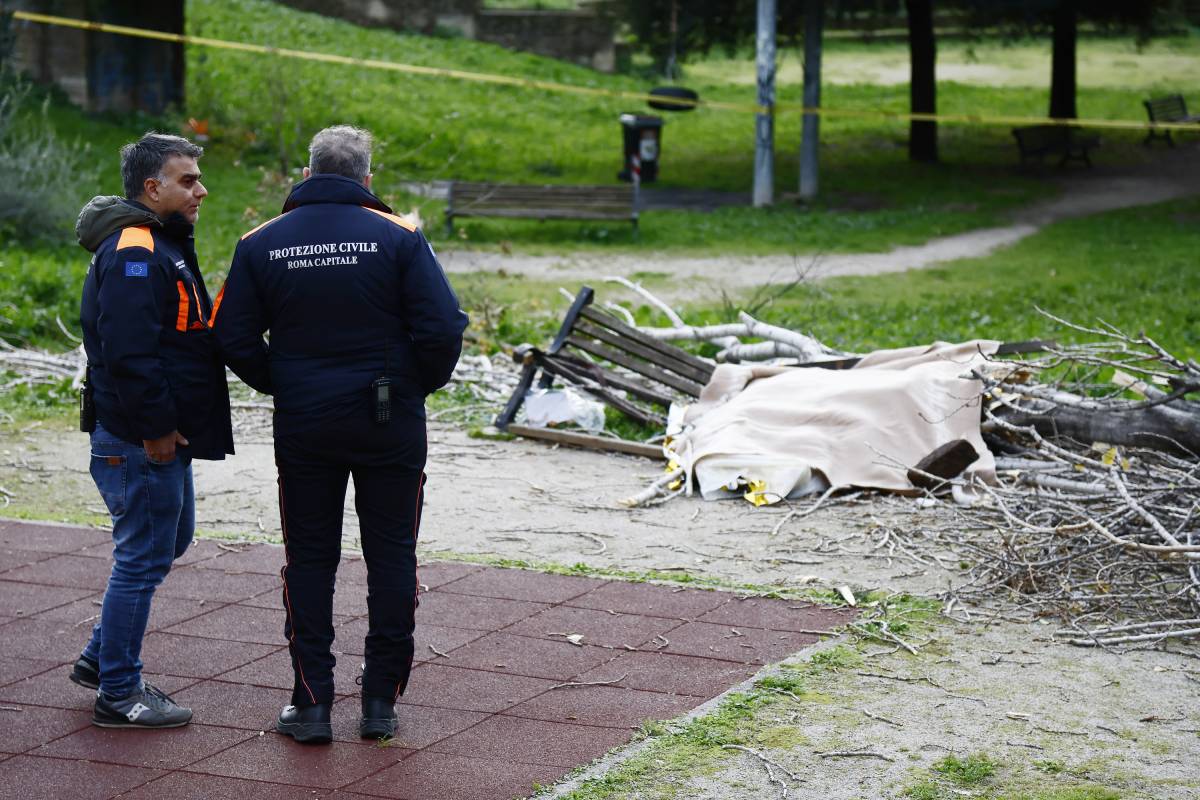 Schiacciata da un albero, la tragedia di Francesca. Le grida del figlio, e la polemica sulle radici del pioppo