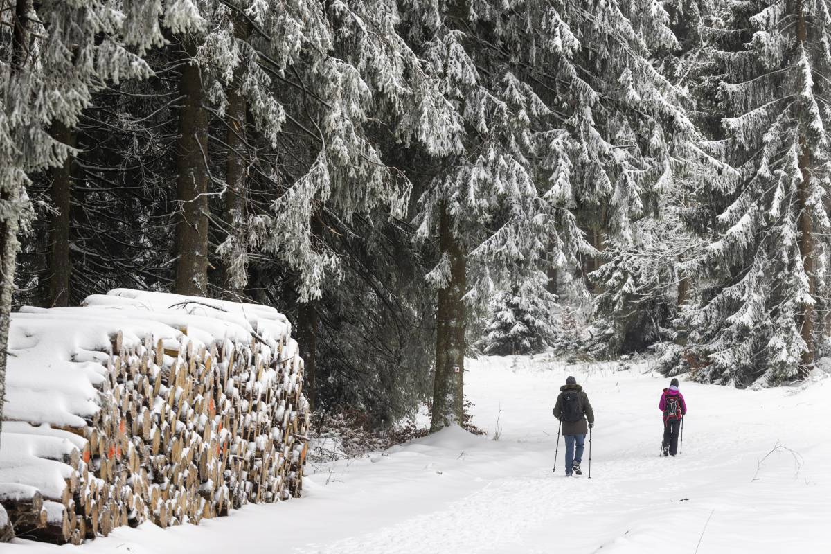 Maltempo e freddo, torna la neve anche a quote basse: ecco dove