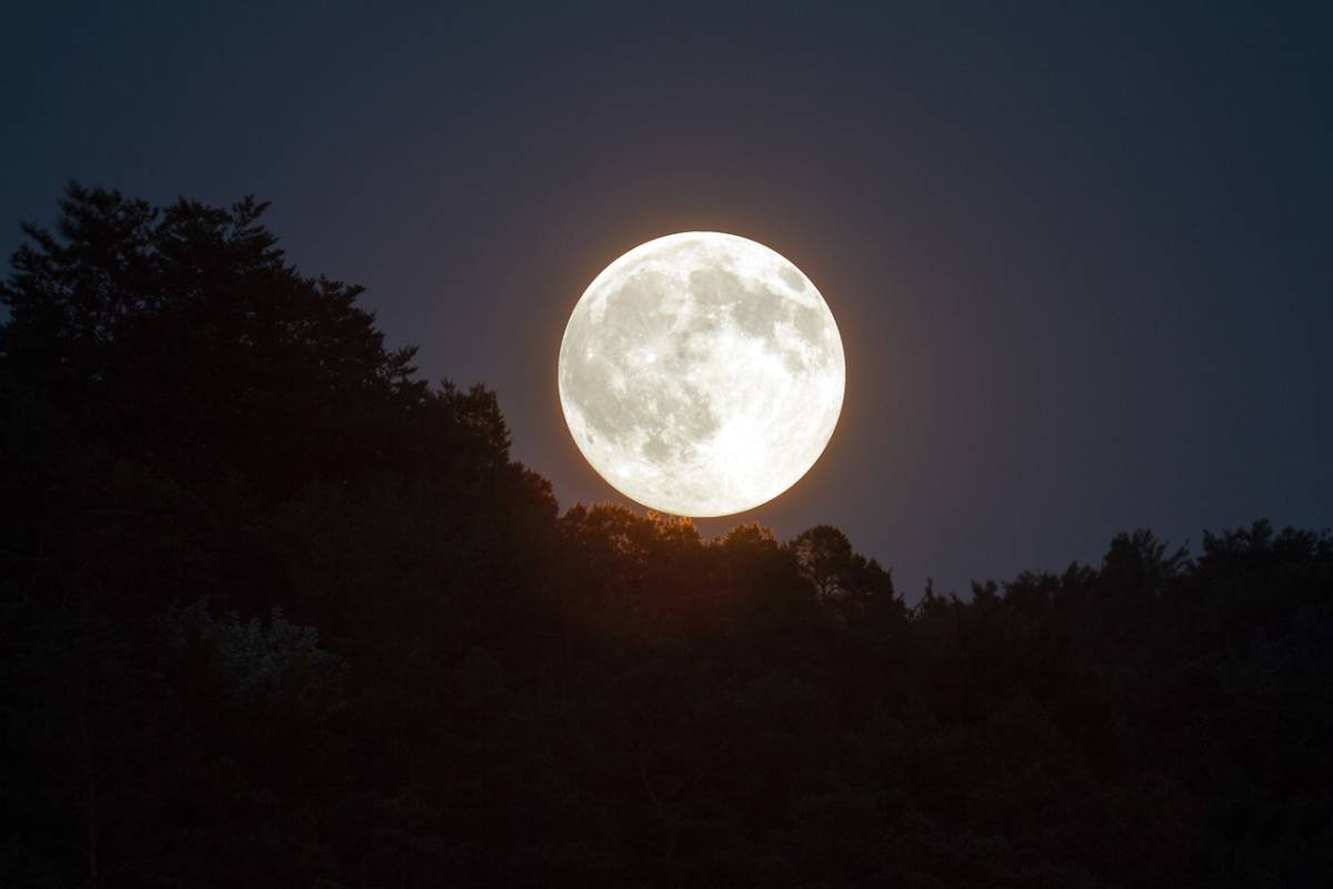 La Luna del Lupo è in arrivo: ecco quando si potrà ammirare lo spettacolo