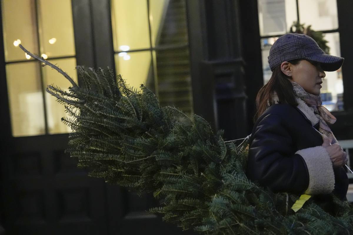 "Non sono commestibili", il folle allarme per le "ricette" con l'albero di Natale