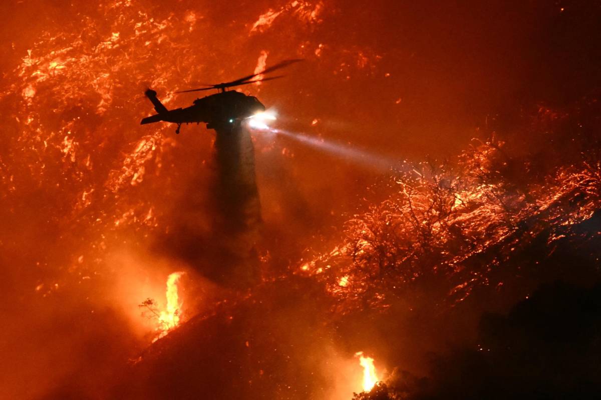 Gli incendi a Los Angeles, il dramma di Paris Hilton e i social che fanno i social