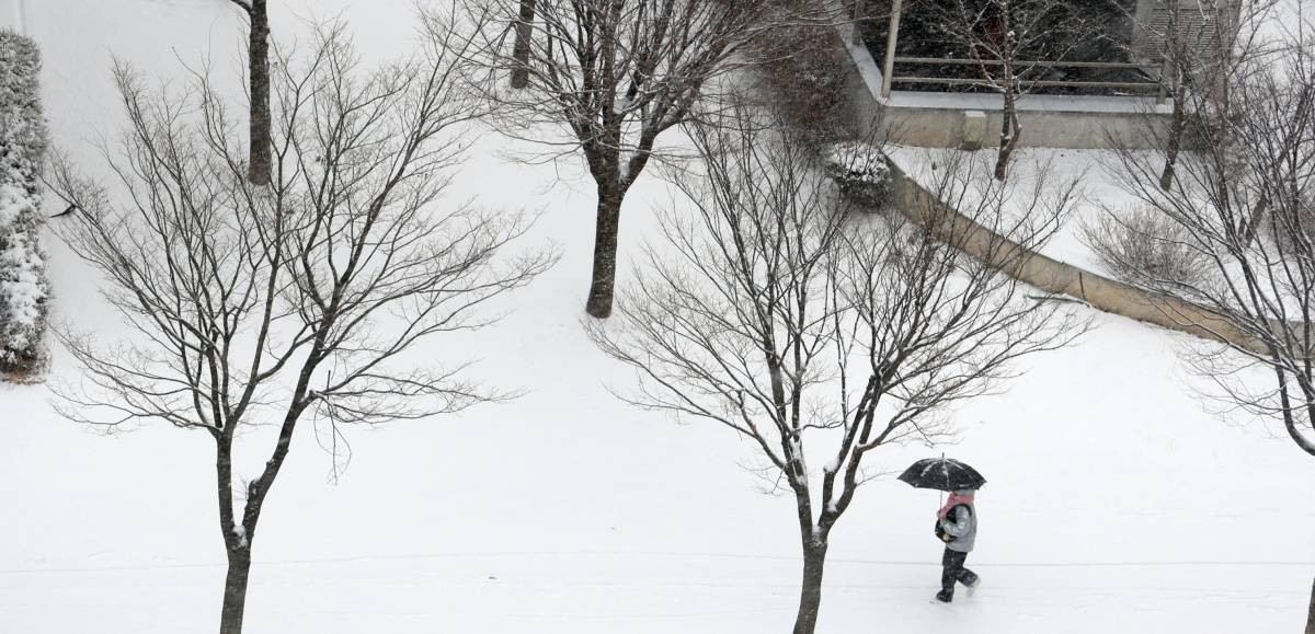 Non solo pioggia, arriva la neve. Occhio a queste zone