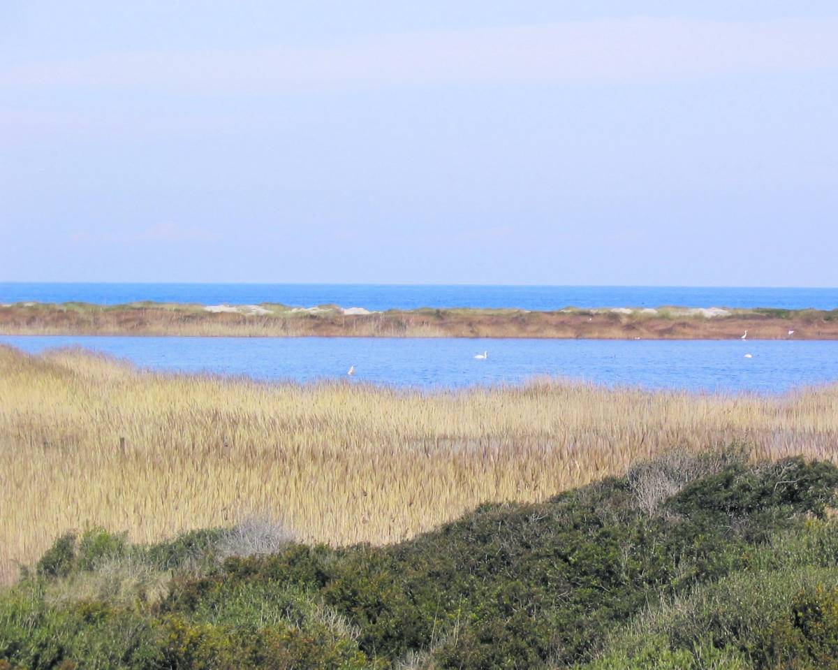 Dolce benessere dalla Lombardia alla Puglia