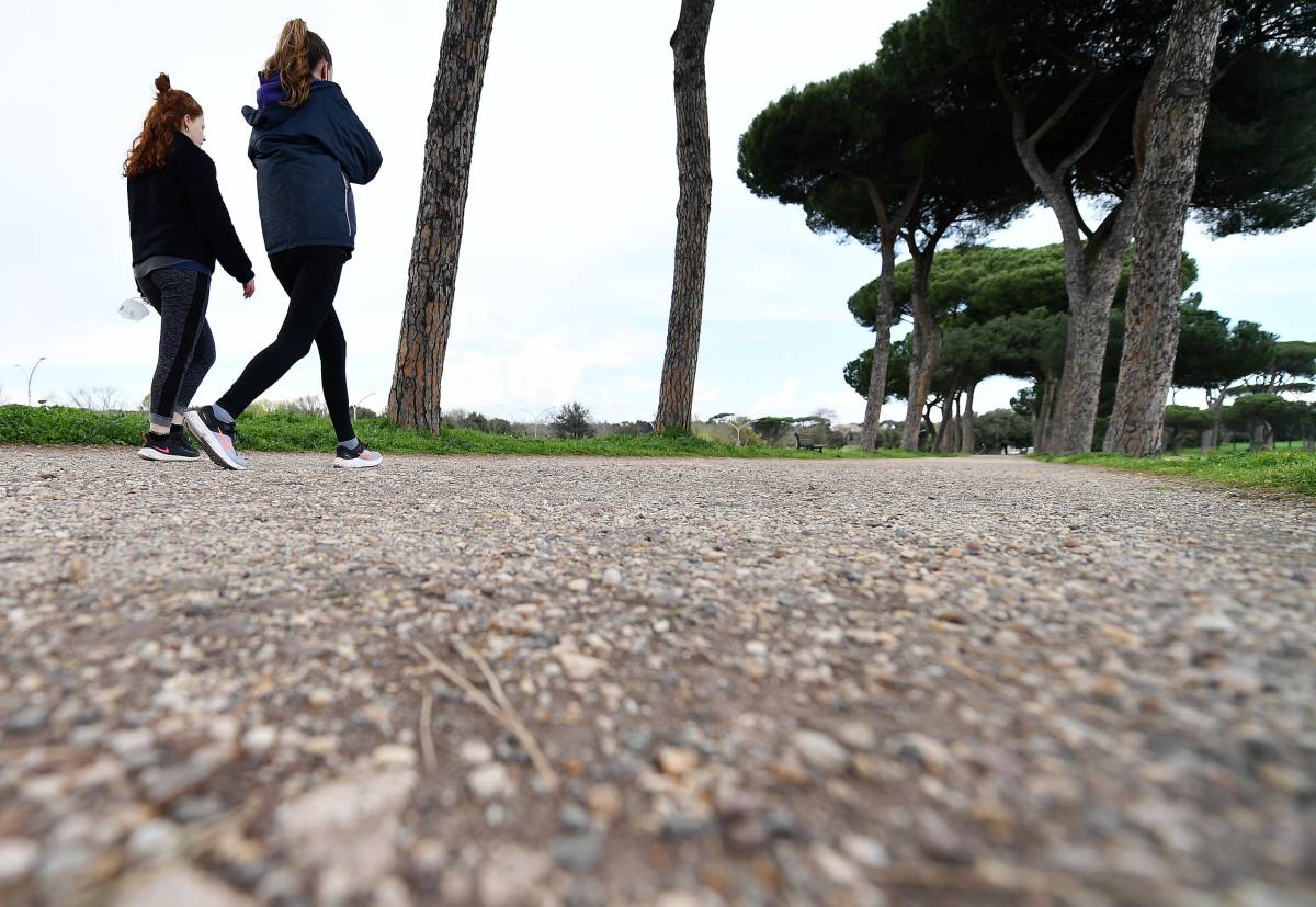 I pini di Villa Pamphilj difesi con gli abbracci dei neomondisti