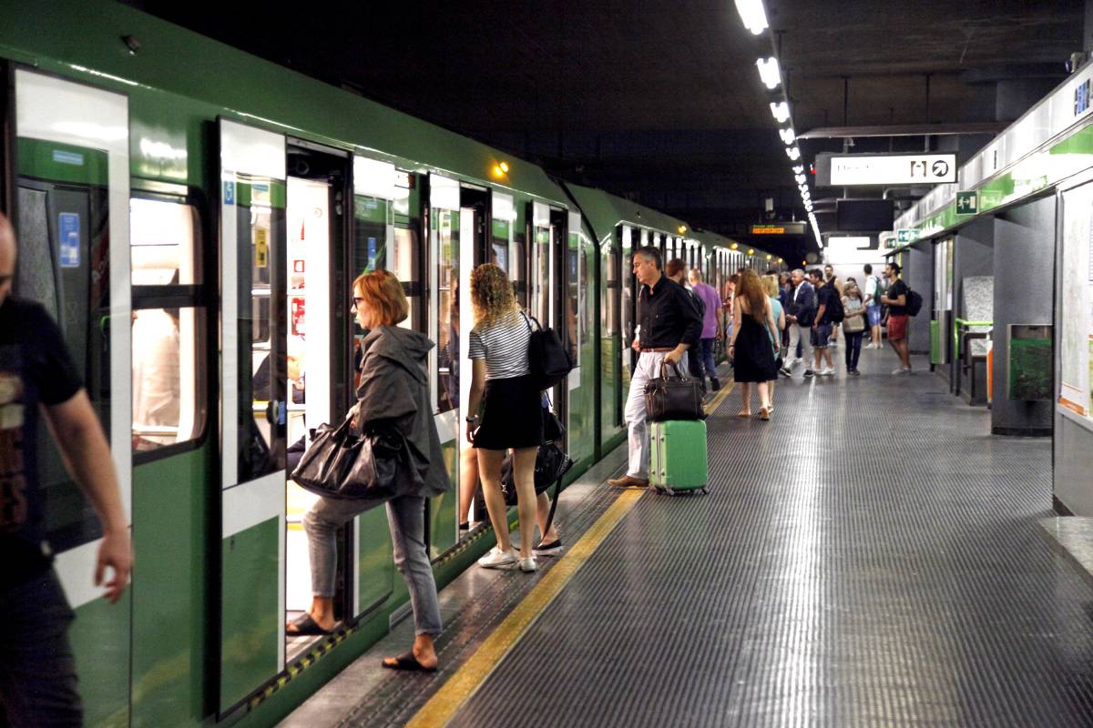 Fermagli Per Ghirlande E Giardinaggio - 50 Pezzi 17x35 Mm, Brevettati E Senza Colla - Foto 8