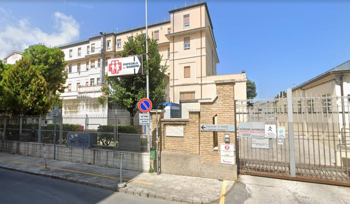 Ancona, degrado in ospedale: blatte vicino a un bimbo operato al cervello