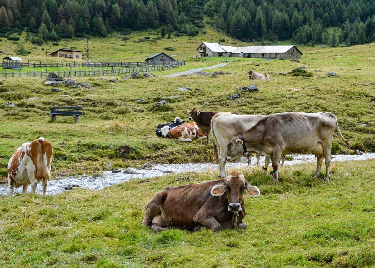 Fino a 100mila euro per trasferirsi in Trentino: ecco i 33 comuni selezionati