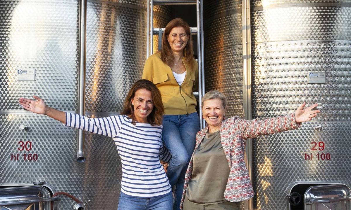 La Mesma, tre sorelle, il vino Cortese e i rifugiati nelle vigne