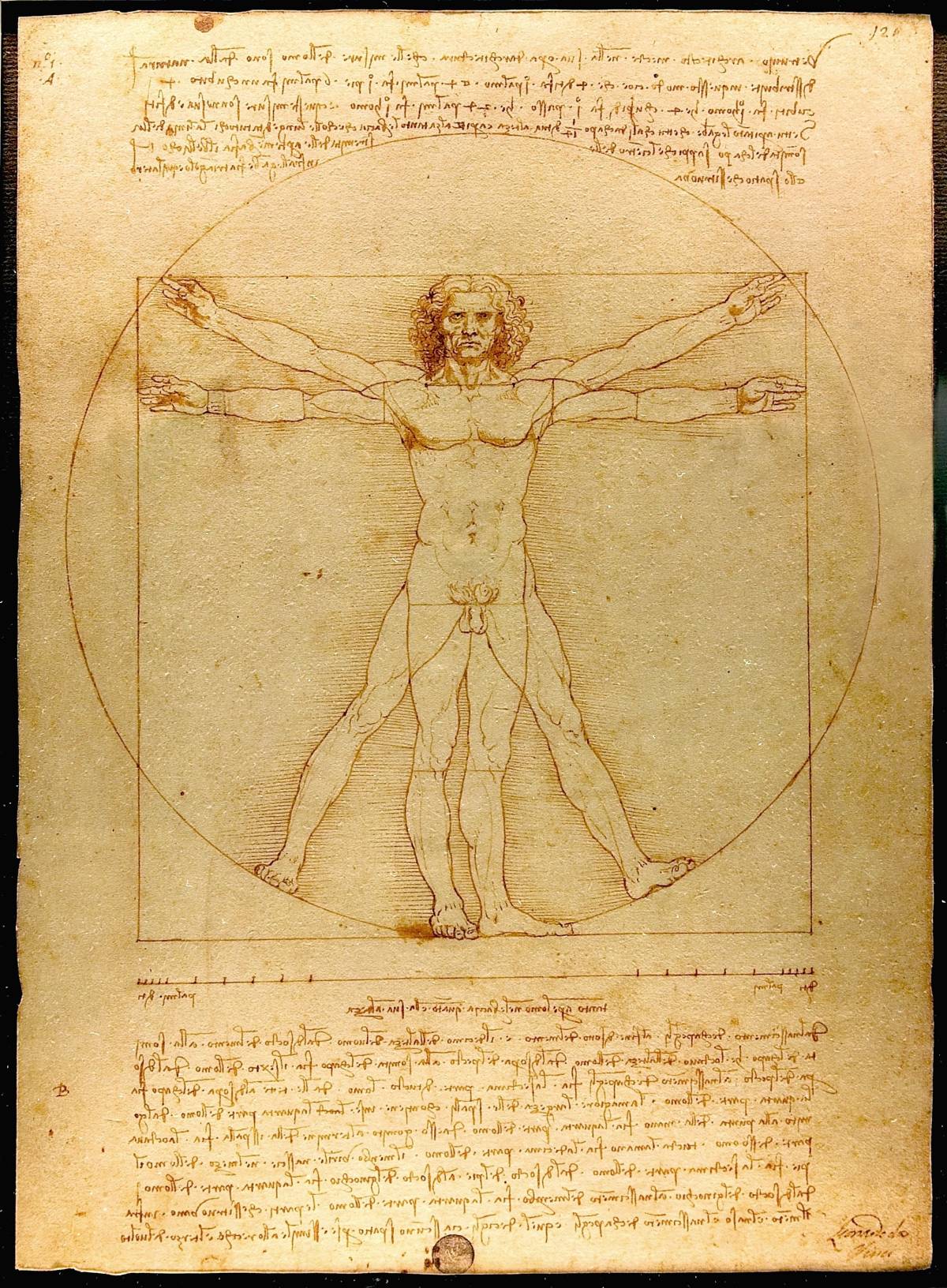 Come evitare i debiti e la dottrina woke: "Università Palantir"