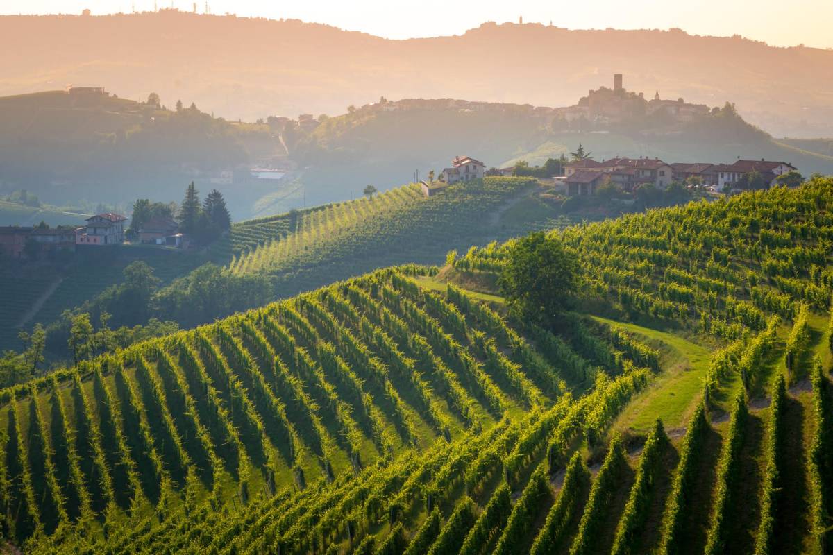 Parusso, in ascolto del Barolo