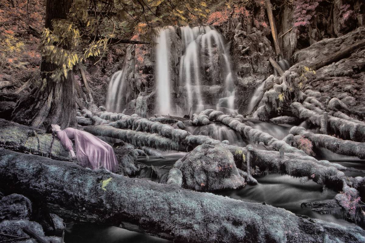 La Natura misteriosa di Patricia Dinu