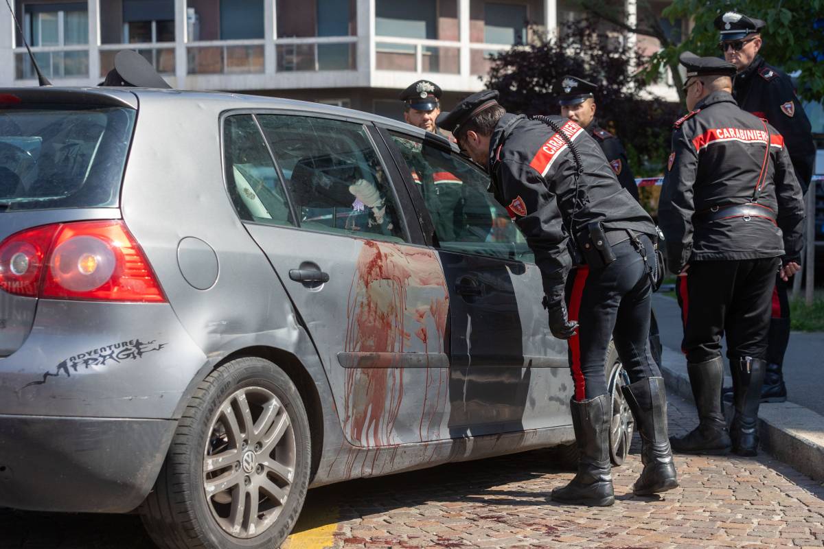 Le coltellate al petto di un ragazzino e al cane. Giallo a Milano
