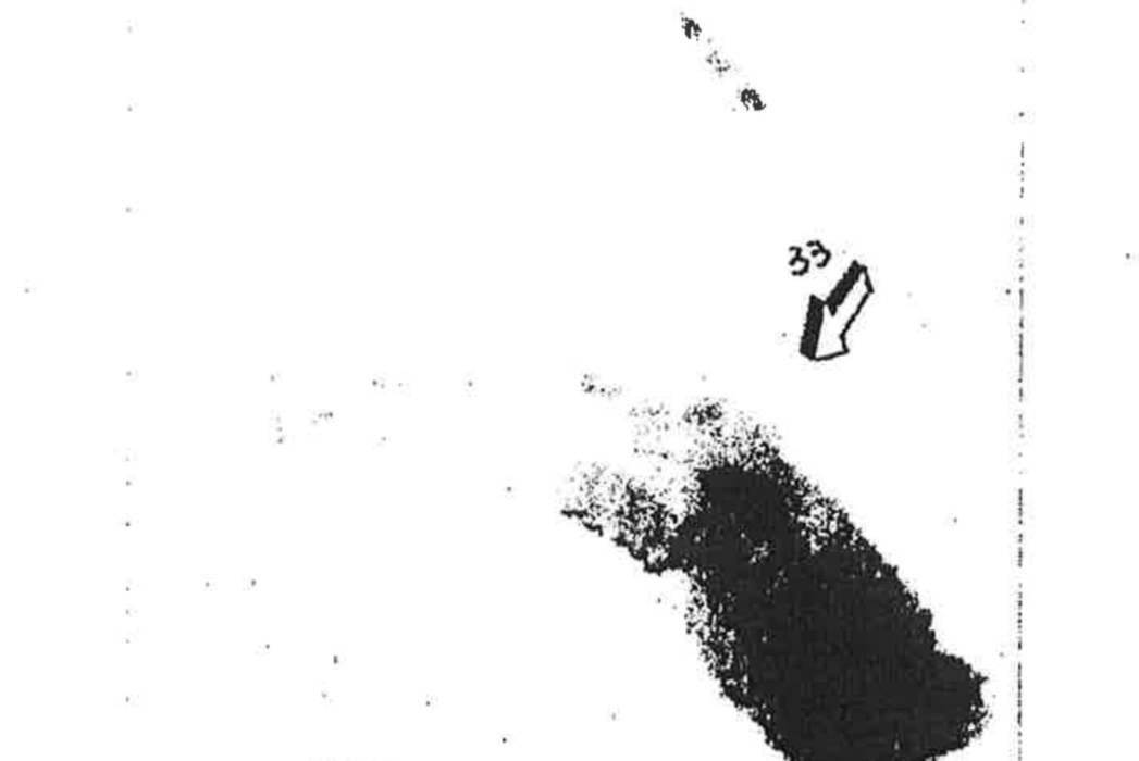 "15 punti di contatto con la mano di Sempio": il documento dei pm