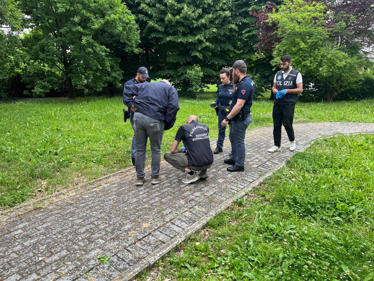 Feto abbandonato in un parco. Il ritrovamento choc a Parma