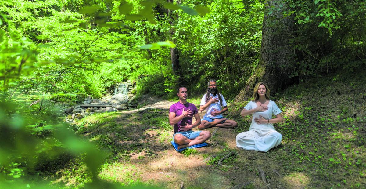 Relax, boschi secolari e acque pure: tutti i programmi per godersi le terme