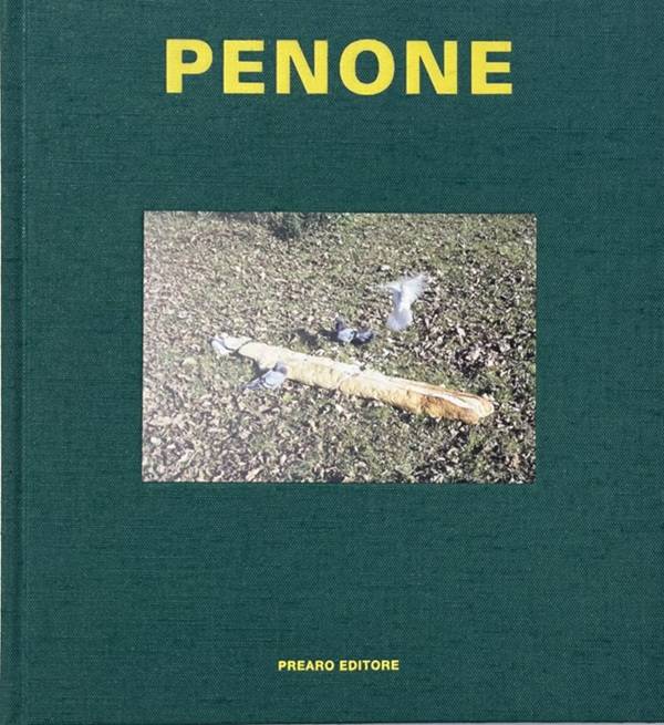 Prearo e le Alpi Marittime di Penone
