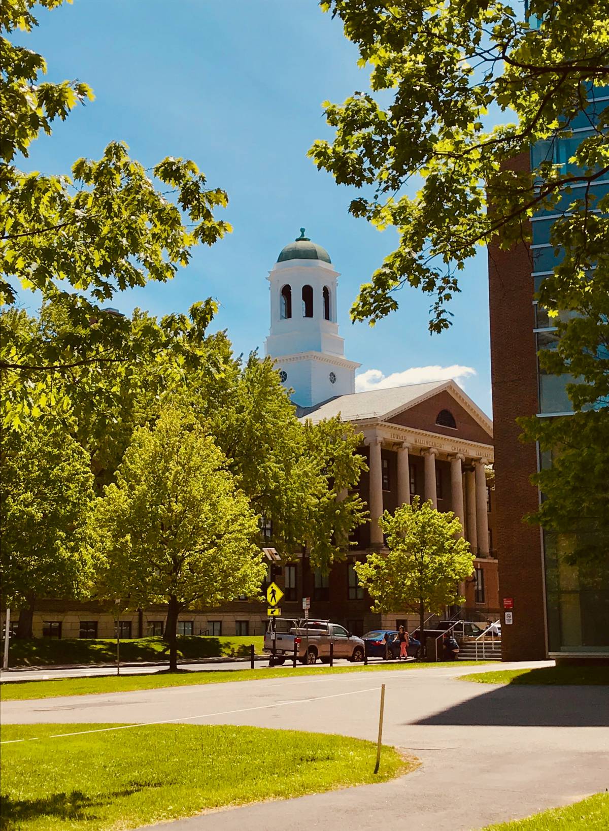Università, Cina in cattedra. Ma Harvard resta la prima
