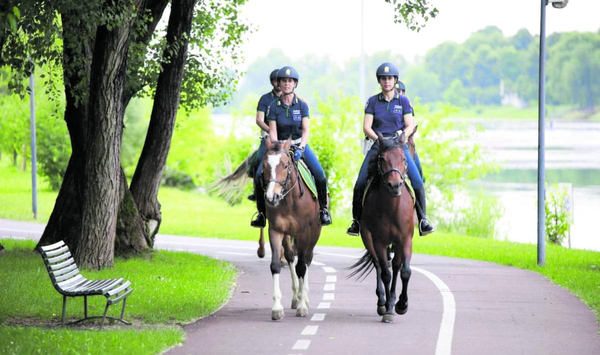 Tornano i vigili a cavallo nei parchi