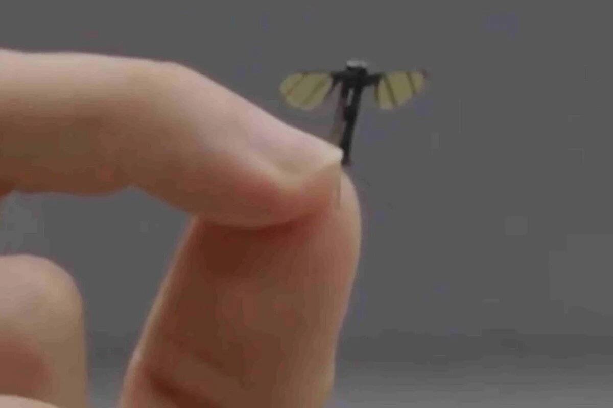 Invisibile, letale e pronto per lo spionaggio: allarme per il drone zanzara della Cina