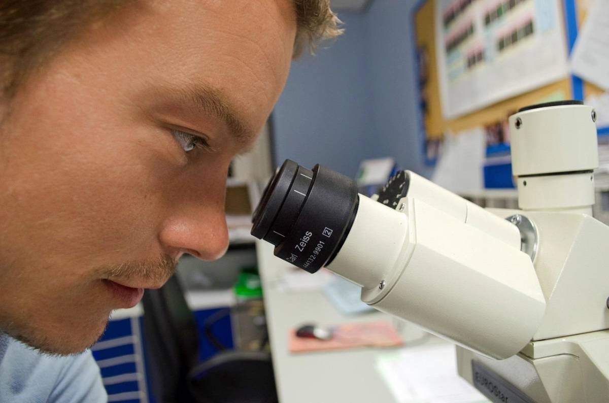 Dna nucleare e mitocondriale: cosa sono e perché sono importanti nelle indagini forensi