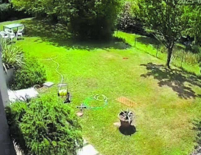 "Italiani spiati dalle telecamere comprate online". Un hacker etico scopre il bug e lancia l'allarme