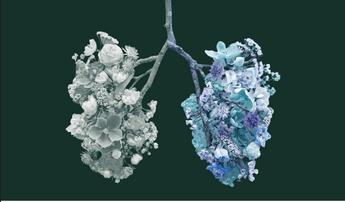 Le fibrosi polmonari, l'importante sfida per la sanità pubblica. Di cosa si tratta e a che punto è la ricerca