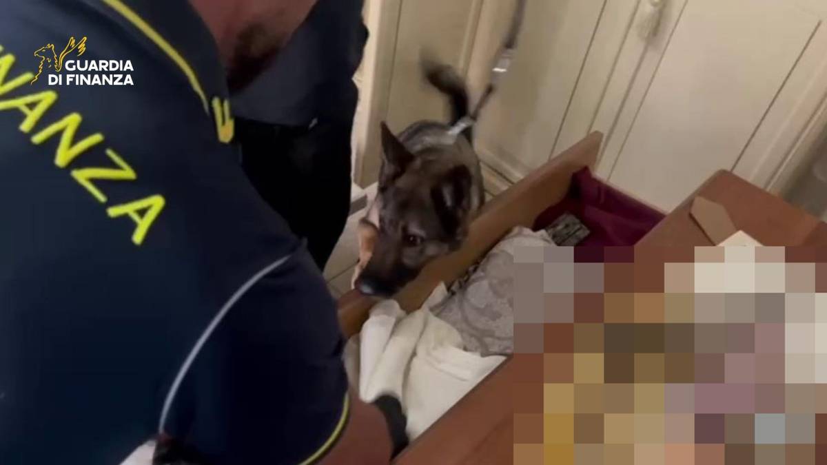 I rider della cocaina con zainetto e bici elettrica: sgominata la "drug delivery" alla palermitana