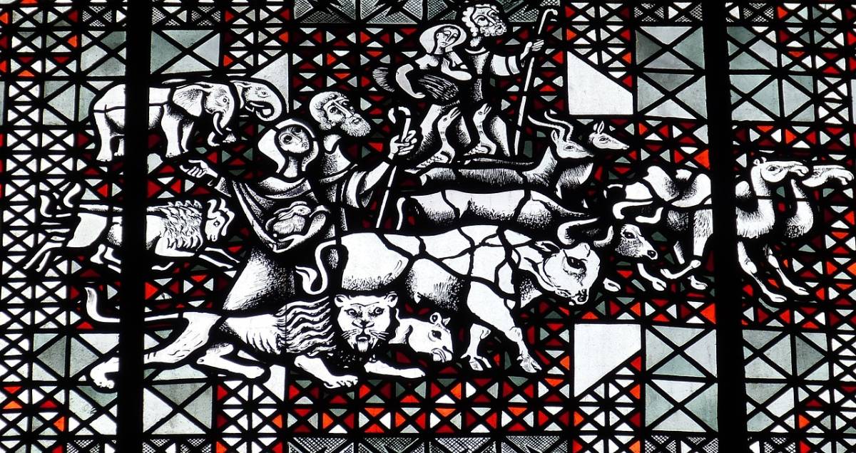 Vascello pirata? No, una scombinata e sorprendente Arca di Noè