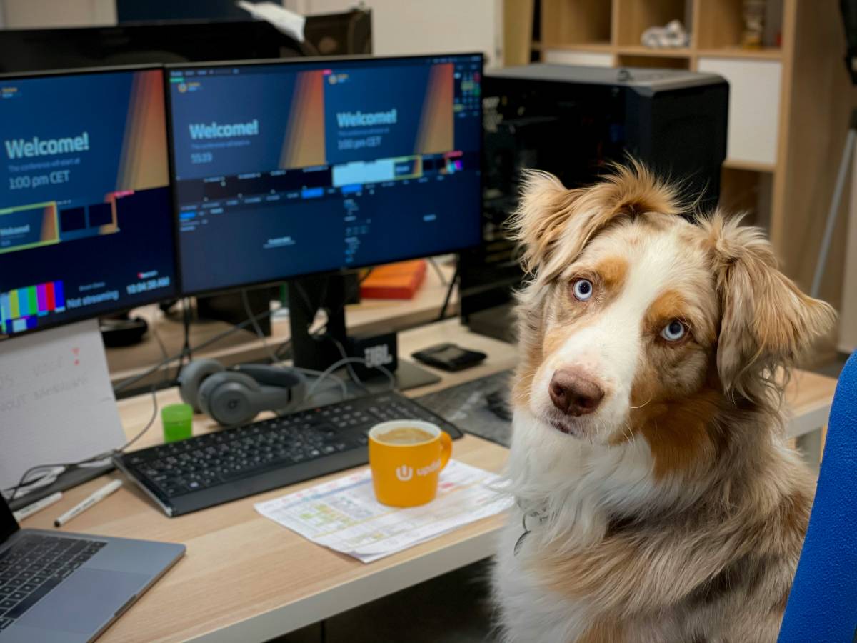 La mia vita scandita dall'amore per i cani. La gioia di sentirsi felici e un po' ridicoli