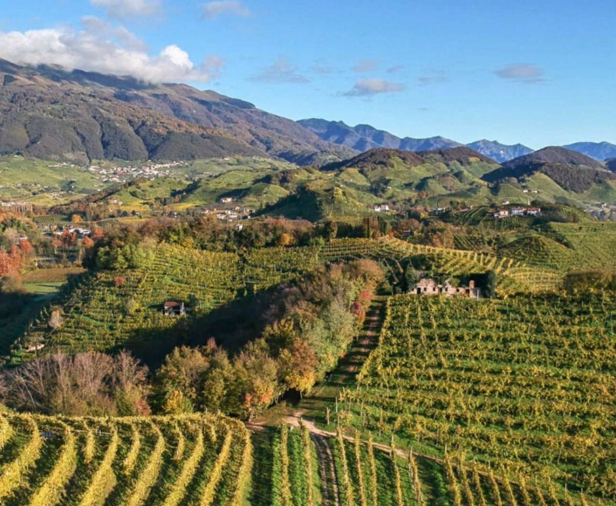 La Tordera: radici profonde, sguardo lungo