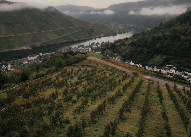 Nicola Biasi in Mosella: il Riesling innovativo